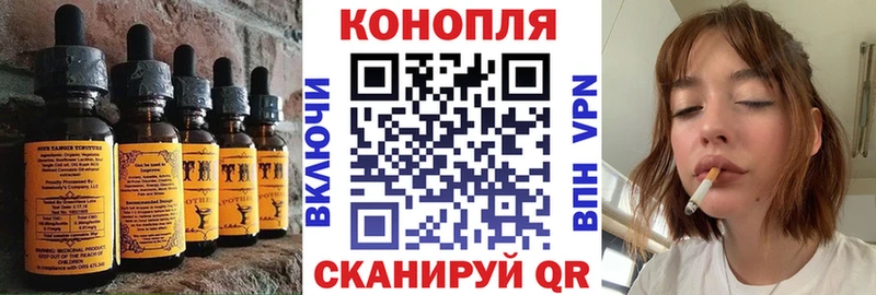MEGA как зайти  Нижние Серги  Cannafood марихуана  магазин продажи наркотиков 