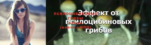 прущие крисы Абинск