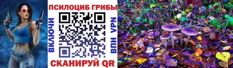 Псилоцибиновые грибы мухоморы  купить  сайты  Нижние Серги 